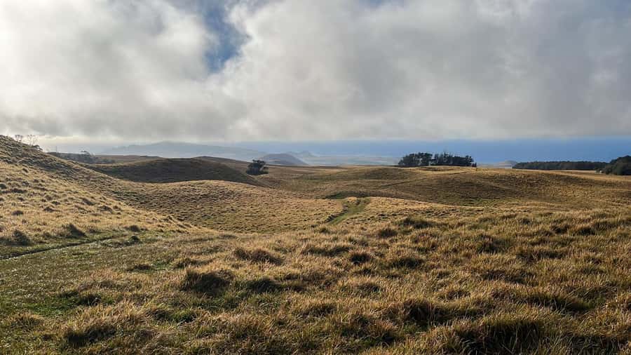 Adventures in Rapa Nui: High-quality tourism with Easter Island Your Tour. - Rapa Nui National Park and the Rules That Protect It