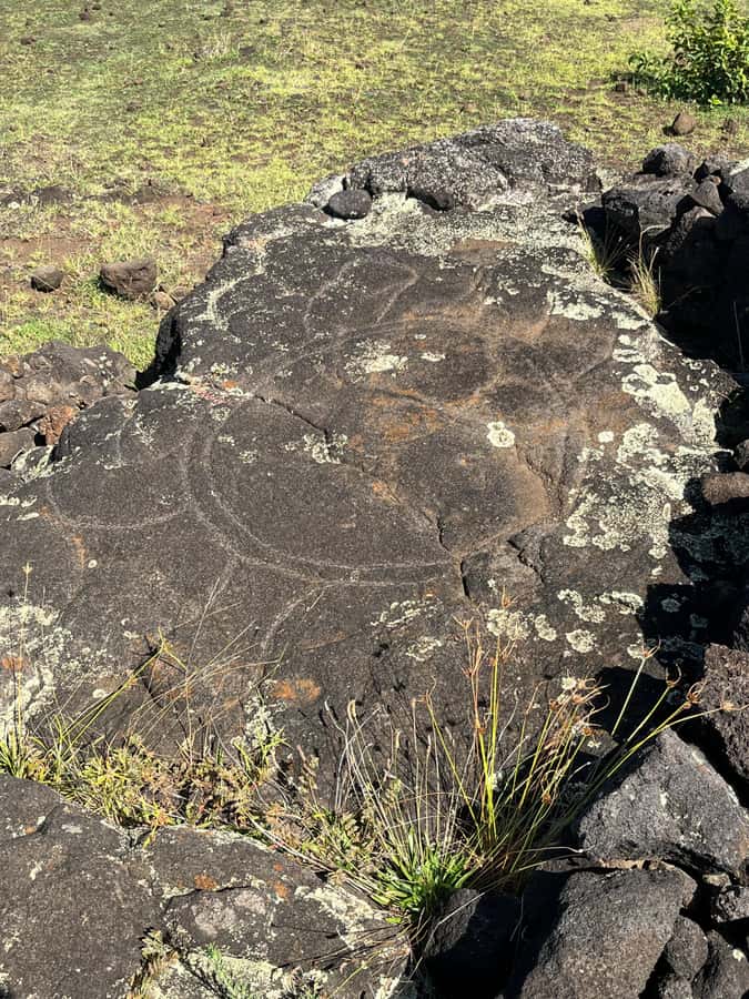 Adventures in Rapa Nui: High-quality tourism with Easter Island Your Tour. - Eric’s Flexible Guiding Style