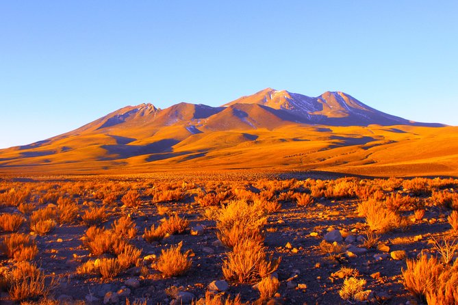 Altiplanic Lagoons & Piedras Rojas Tour from San Pedro de Atacama - Lunch in Socaire