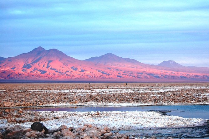 Altiplanic Lagoons & Piedras Rojas Tour from San Pedro de Atacama - Starting early from San Pedro de Atacama