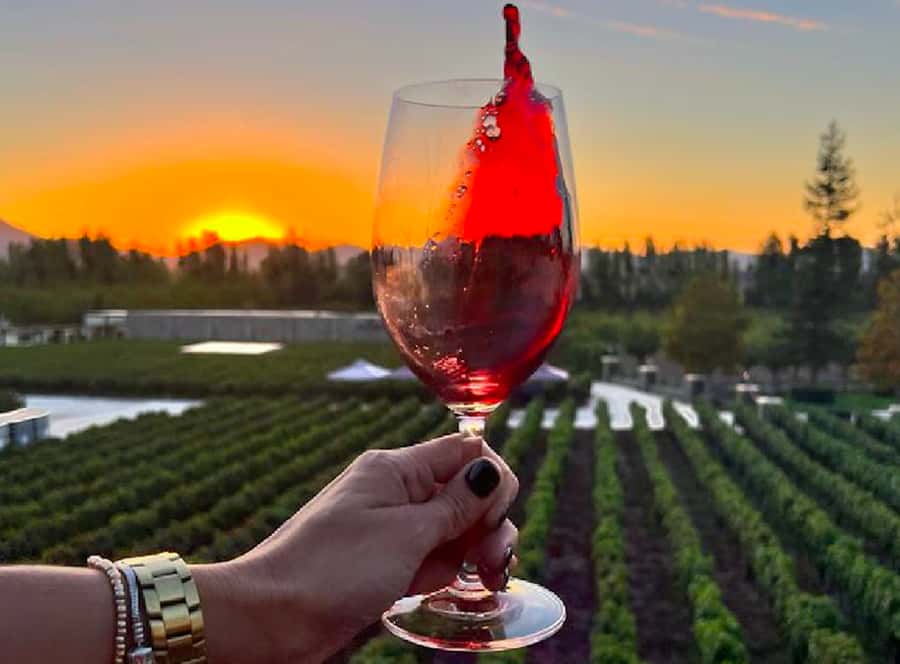 Alyan Family sunset winery - Why the sunset changes the winery visit