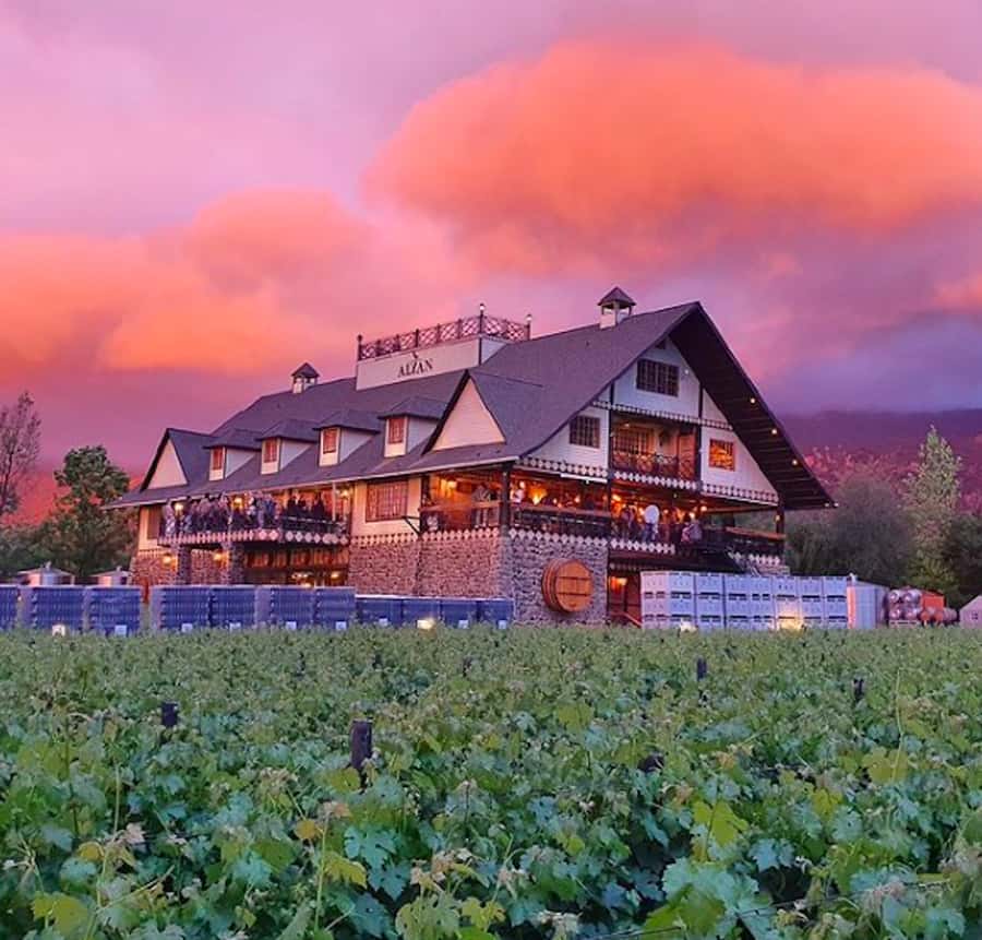 Alyan Family sunset winery - Walking through the winery