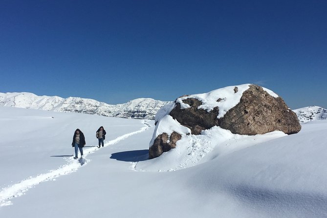 Andean Tour - From Santiago to the high Andes