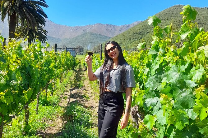 Andes Portillo & Aconcagua wine tour semi private - Los Caracoles and its 29 sharp curves