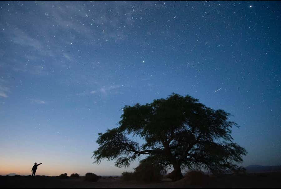 Antofagasta: Astronomical Tour with a Guide - Who will enjoy this short astronomy outing