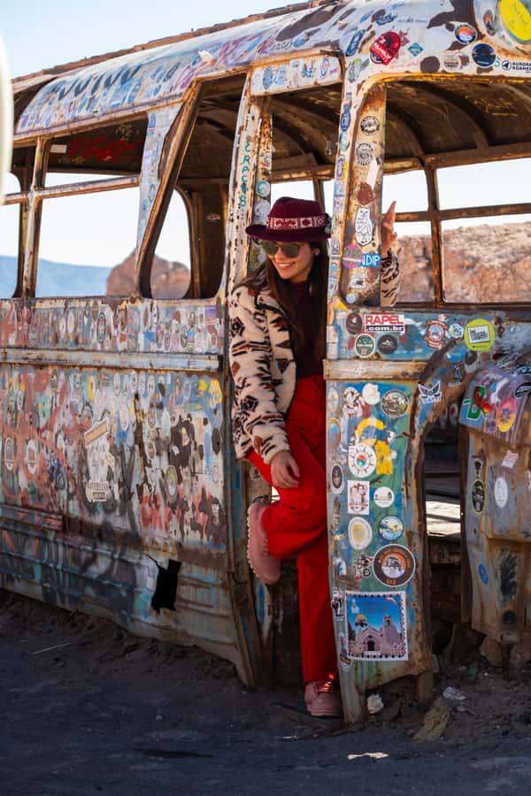 Atacama Desert and Magic Bus Visit - Setting out from Tocopilla 438