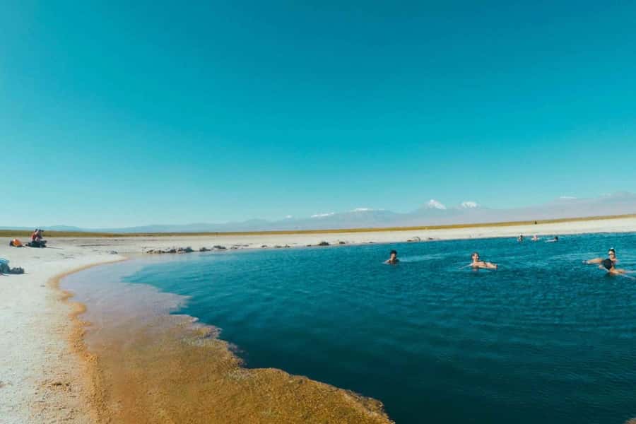 Atacama Desert: Floatation in Laguna Cejar and Sunset - The Atacama setting around the salt flats