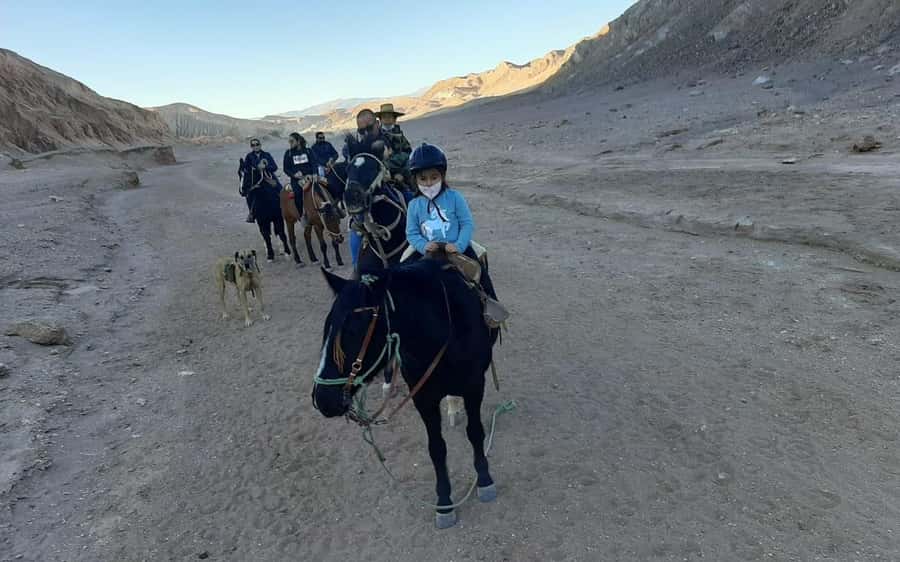 Atacama Desert: Horseback Adventure with Scenic Views - Who will enjoy this Atacama ride