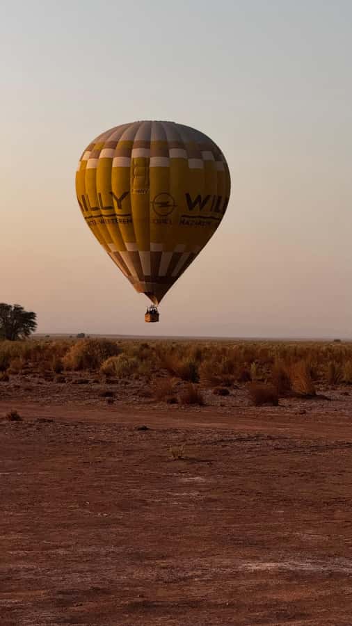 Atacama: San Pedro de Atacama Sunrise Hot Air Balloon Ride - Who should book this morning