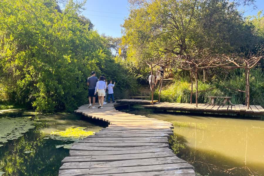 Aviary & Tricao Park Tour with Undurraga Wine Tasting - Leaving Santiago for Parque Tricao