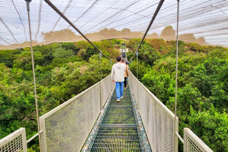 Aviary & Tricao Park Tour with Undurraga Wine Tasting - Humedal Giverny and the Botanical Garden