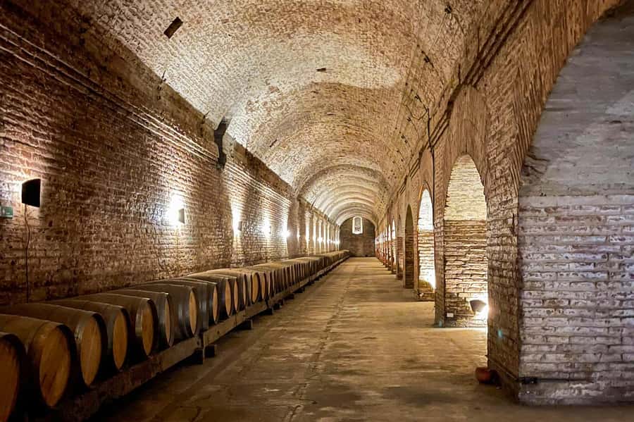Bahá'i Temple and Cousiño Macul Vineyard - Who will enjoy this tour most