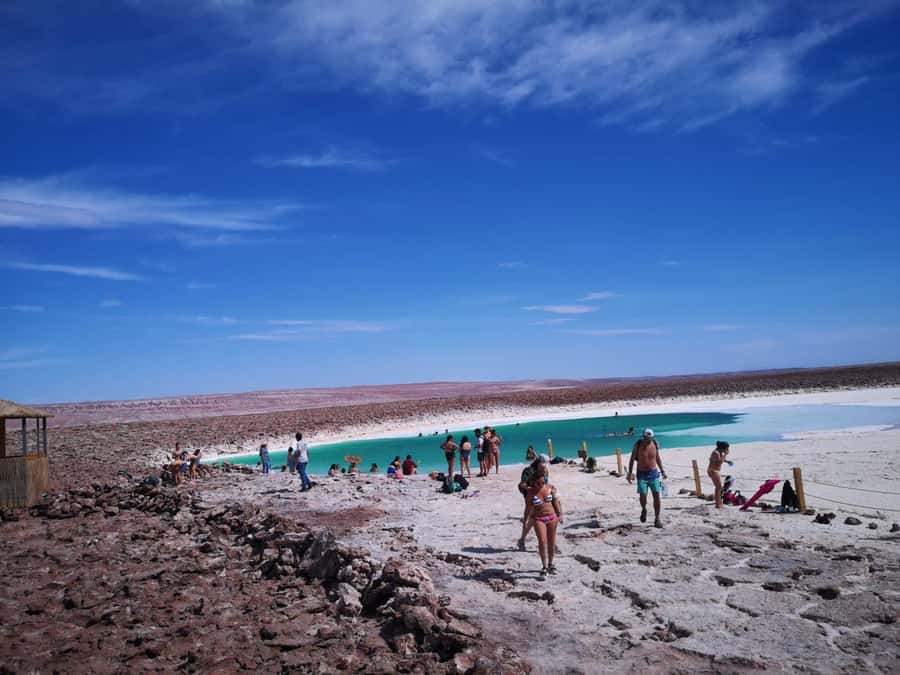 Baltinache Lagoons PM - Key points at a glance
