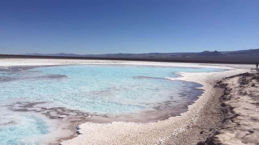 Baltinache Lagoons PM - Seven blue and green pools in the Atacama Desert
