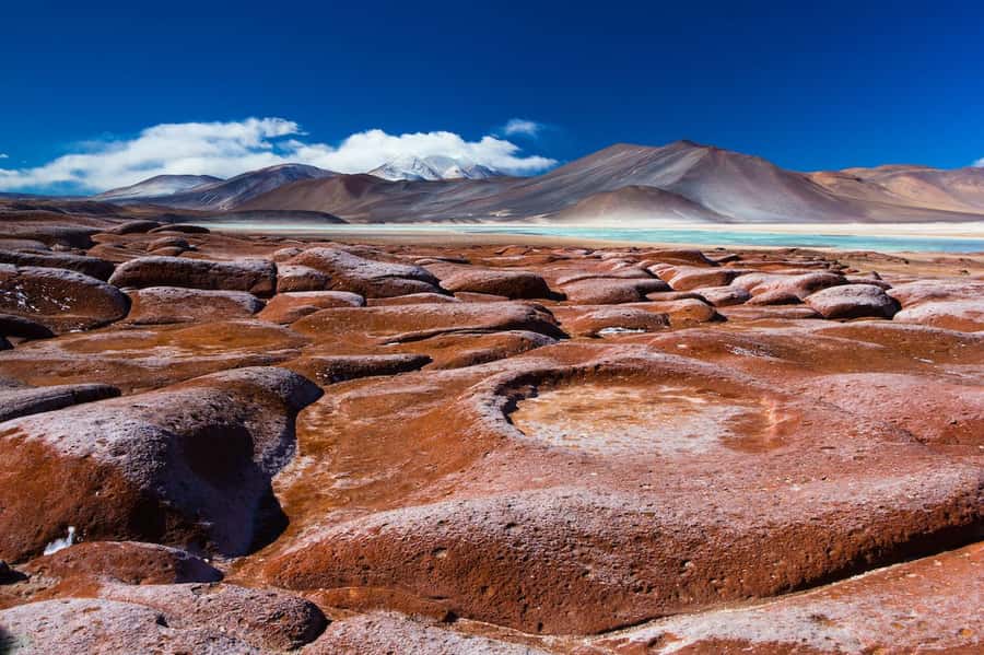 Caracoles: Red Stones of Atacama and Chaxa Guided Day Trip - A full day across the Atacama high plateau