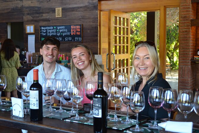 Casablanca world class wines, 4 vineyards & Tanino lunch stop - From Santiago to the Curacaví Valley