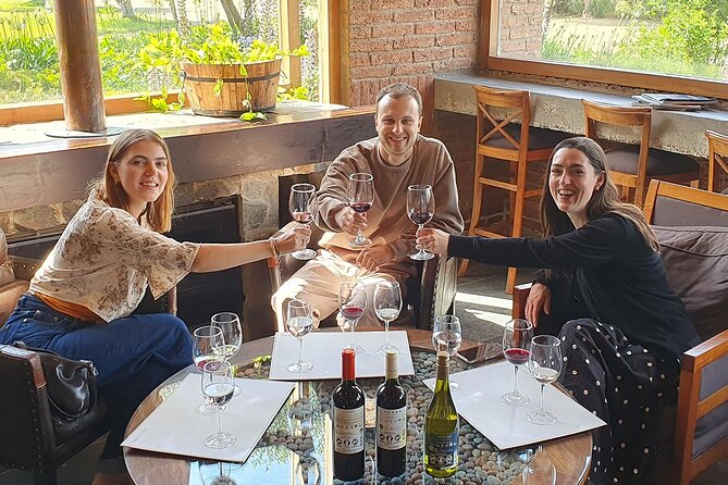 Casablanca world class wines, 4 vineyards & Tanino lunch stop - What the $149 price really covers