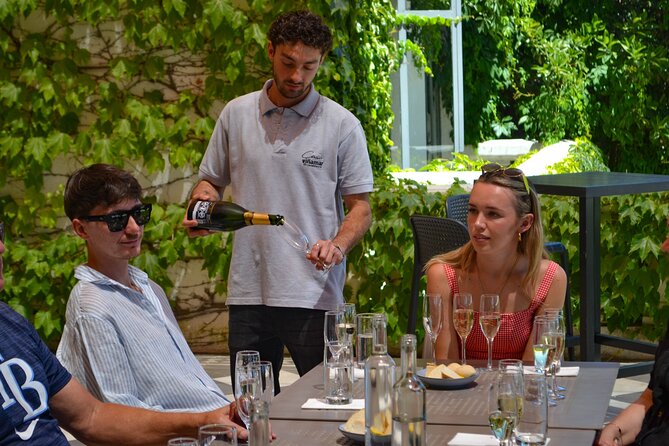 Casablanca world class wines, 4 vineyards & Tanino lunch stop - The pace, group size, and practical details