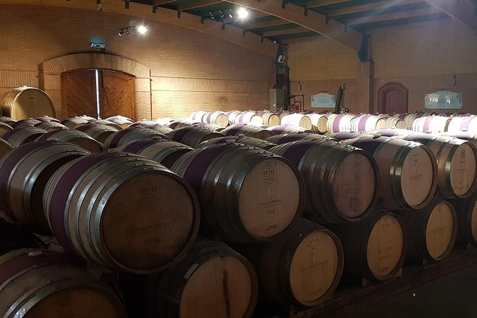 Casas del Bosque Winery + RE Wineries : Exclusive Tour + Transfer - Who will get the most from this experience?