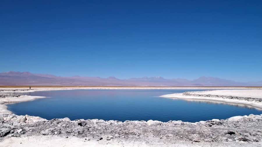 Cejar Lagoon, Tebenquiche Lagoon and Ojos del Salar - What the five-hour schedule means for you