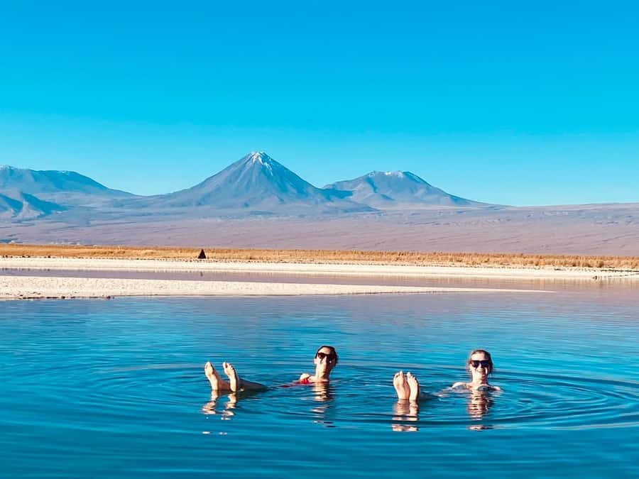 Cejar Lagoon Tour: San Pedro de Atacama - Key points at a glance