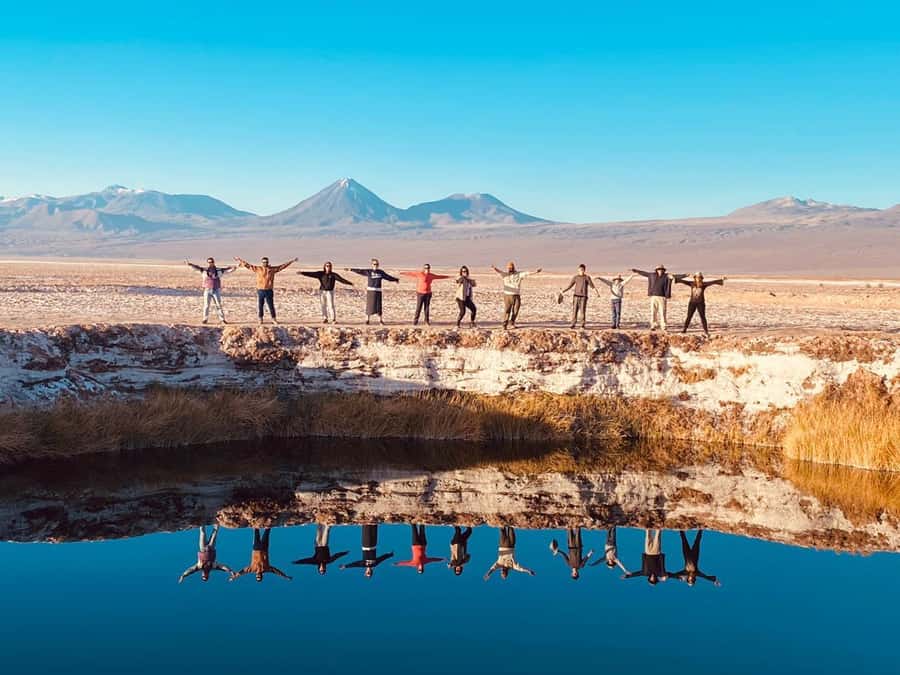 Cejar Lagoon Tour: San Pedro de Atacama - Why Cejar Lagoon is worth the trip