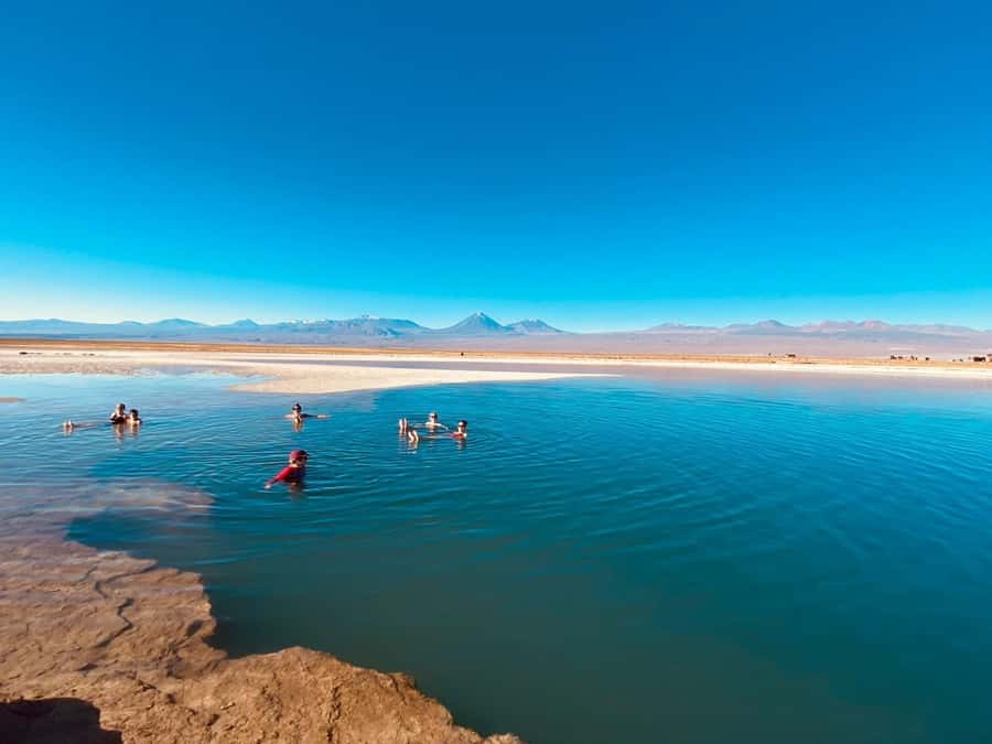 Cejar Lagoon Tour: San Pedro de Atacama - Floating at Cejar Lagoon