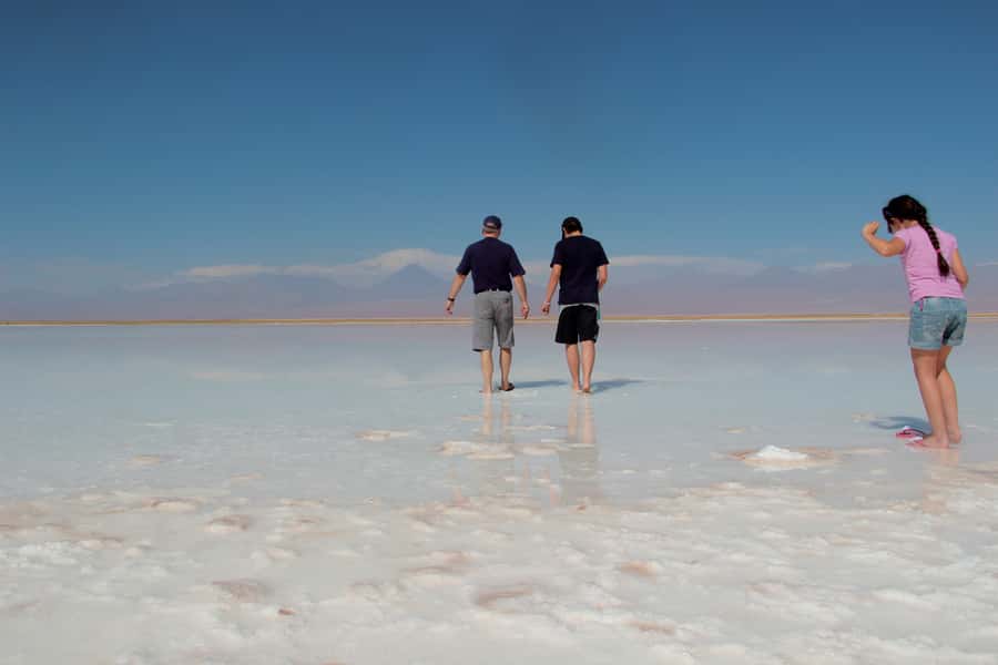 Cejar & Tebenquiche Lagoons Tour with Ojos del Salar Atacama - Key points at a glance