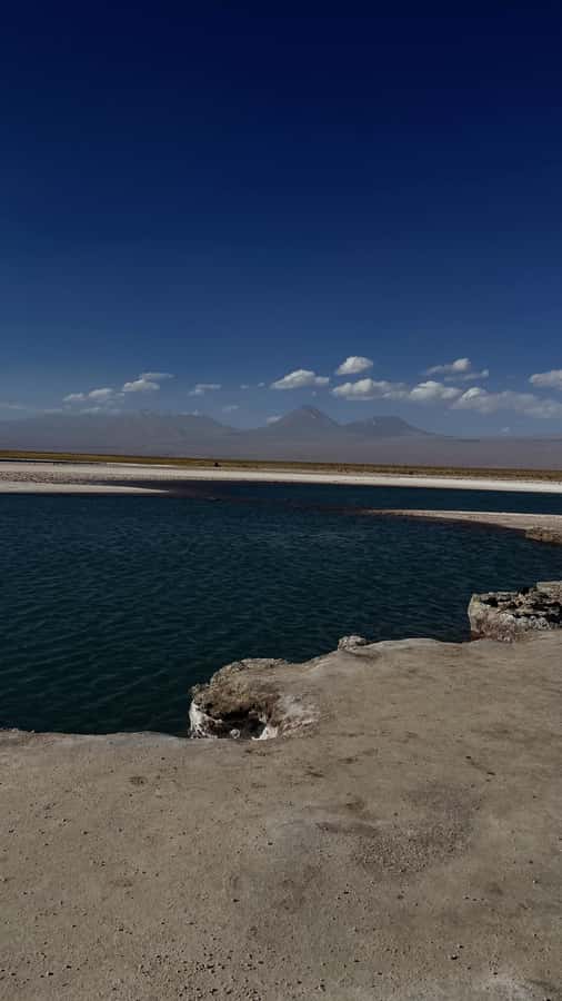 Cejar & Tebenquiche Lagoons Tour with Ojos del Salar Atacama - Piedra Lagoon and the first float