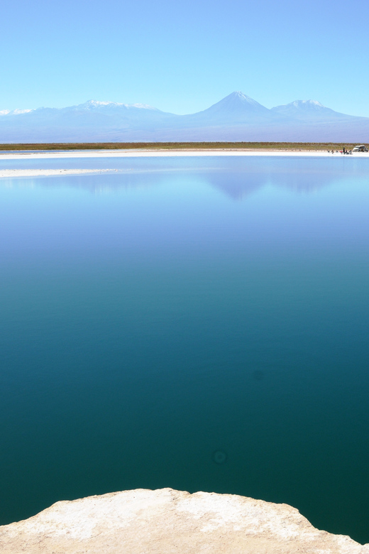 Cejar & Tebenquiche Lagoons Tour with Ojos del Salar Atacama - The guide, language, and group experience