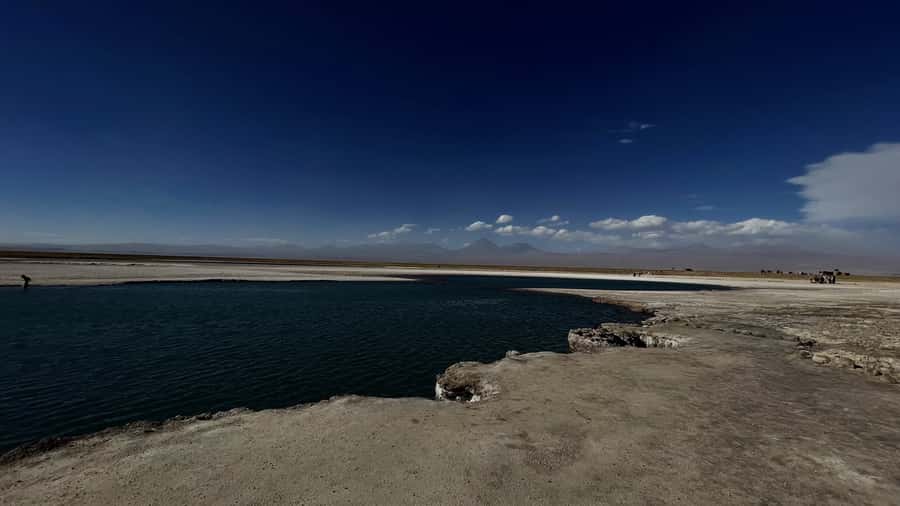 Cejar & Tebenquiche Lagoons Tour with Ojos del Salar Atacama - What to bring for swimming and sun