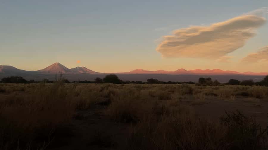 Cejar & Tebenquiche Lagoons Tour with Ojos del Salar Atacama - Is $45 a good value?