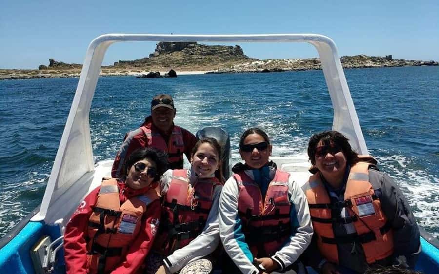 Chañaral de Aceituno boat ticket - Why Chañaral Island is the main event