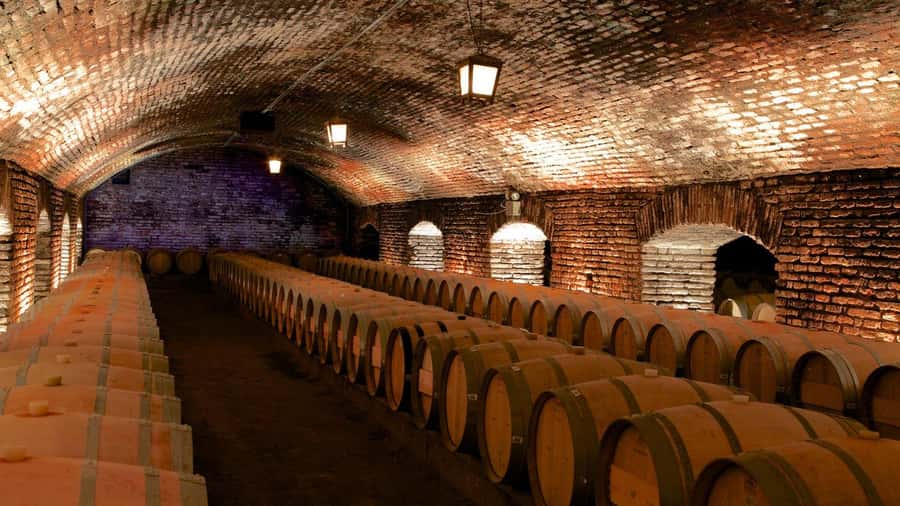 Concha y Toro Wine Tour with Dinner at the Winery - Hotel pickup keeps the six-hour plan simple