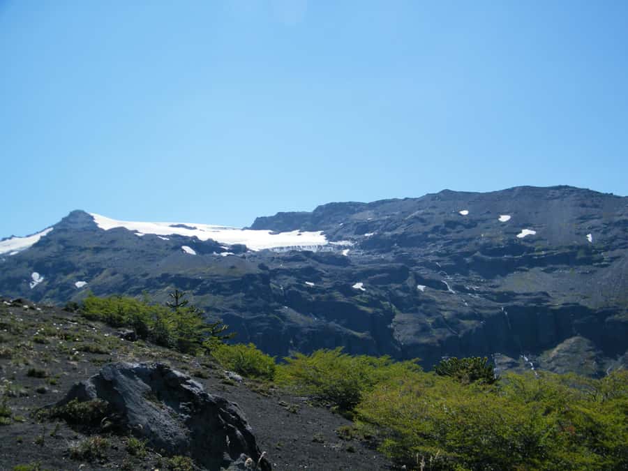 Conguillío National Park Tour, Full day - A full day from Temuco to Conguillío