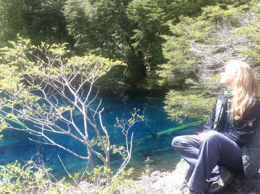 Conguillío National Park Tour, Full day - Araucaria trees and the park’s natural character