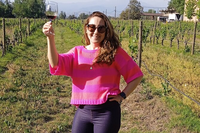 Cousiño Macul Vineyard - Maipo Valley - Premium Tasting - HD - A wine estate close to Santiago