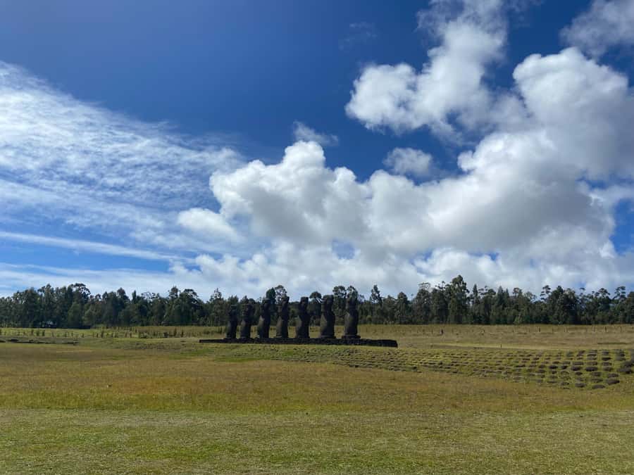 Easter Island: 2 Full Days Private Tour - Timing matters more than the two-day label