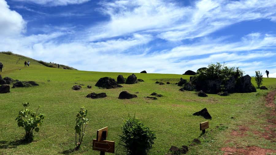 Easter Island: Half-Day Archaeology Tour - Who should book this half-day archaeology tour