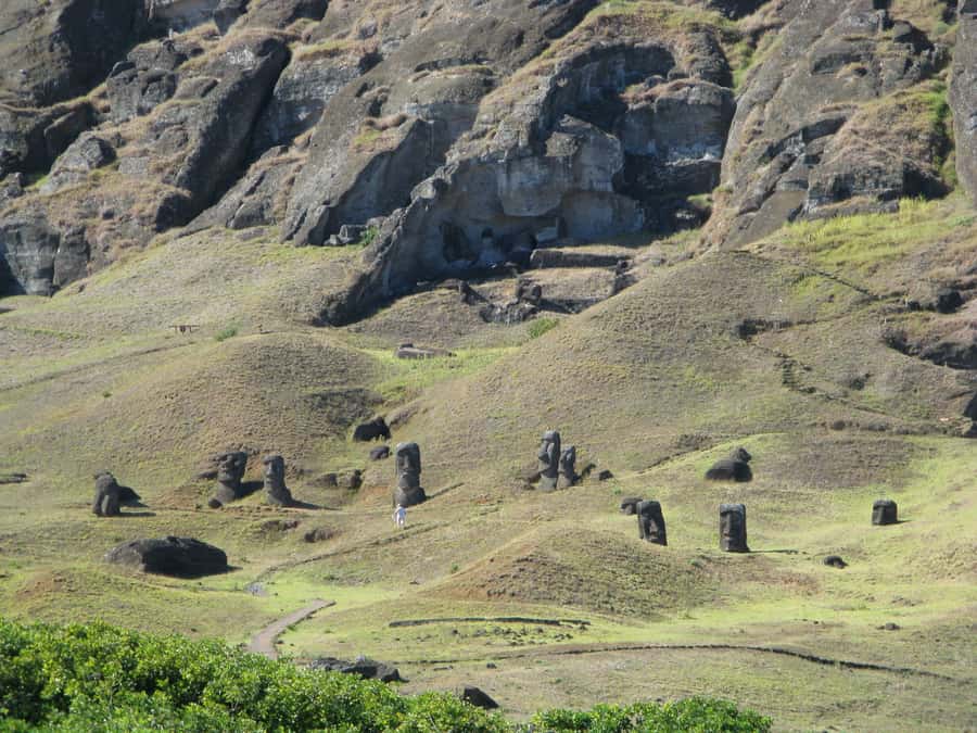 Easter Island: Moai Full Day Private Tour - What the $219 price includes and leaves out
