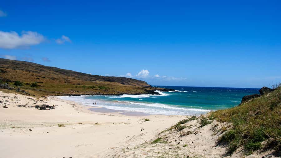 Easter Island: Moai Full Day Private Tour - Ahu Tongariki and its row of fifteen moai