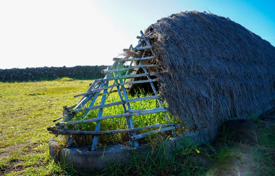 Easter Island: Private Full Day History Of The Moai - One Makihi adds a lesser-known stop