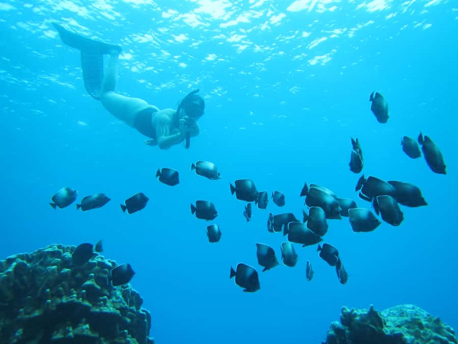 Easter island: Snorqueling tour on coral reefs - Seeing Easter Island from below the waterline