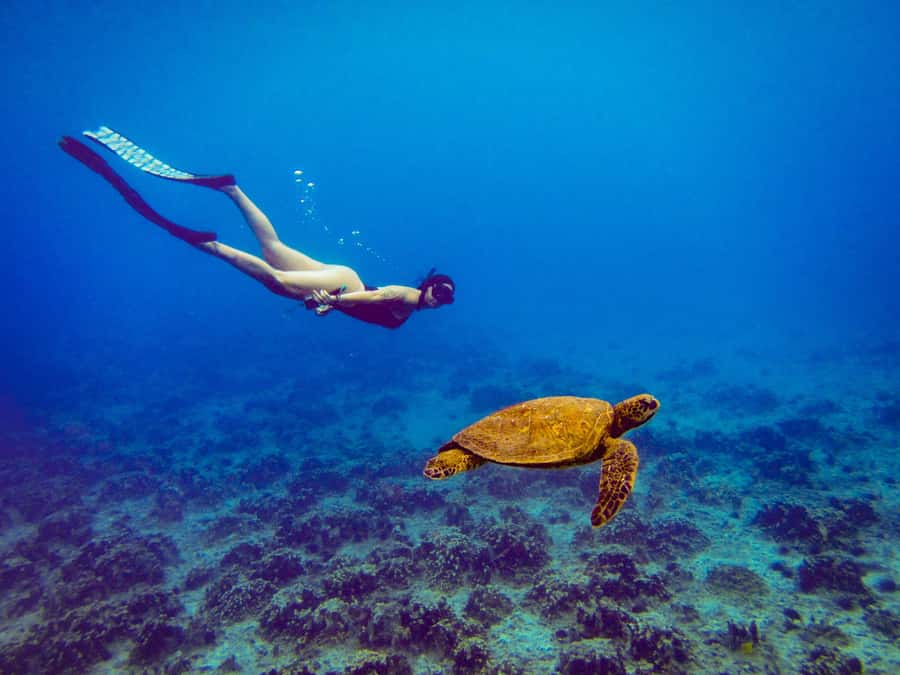 Easter island: Snorqueling tour on coral reefs - The equipment lesson makes a real difference
