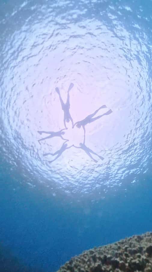 Easter island: Snorqueling tour on coral reefs - Hanga Roa pickup and the 30-minute ride