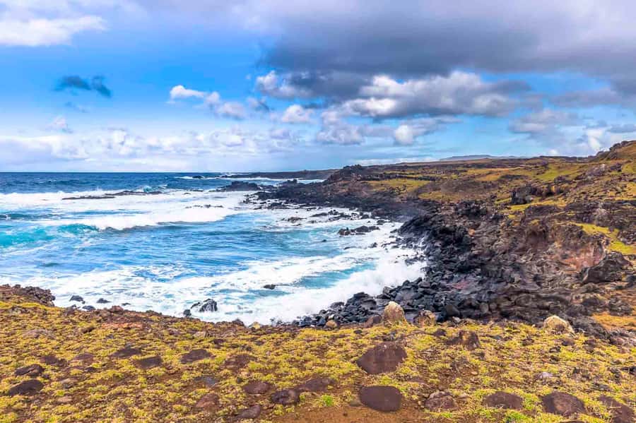 Easter Island: The Moai Trail Private Archeological Tour - What the guide adds to a private day