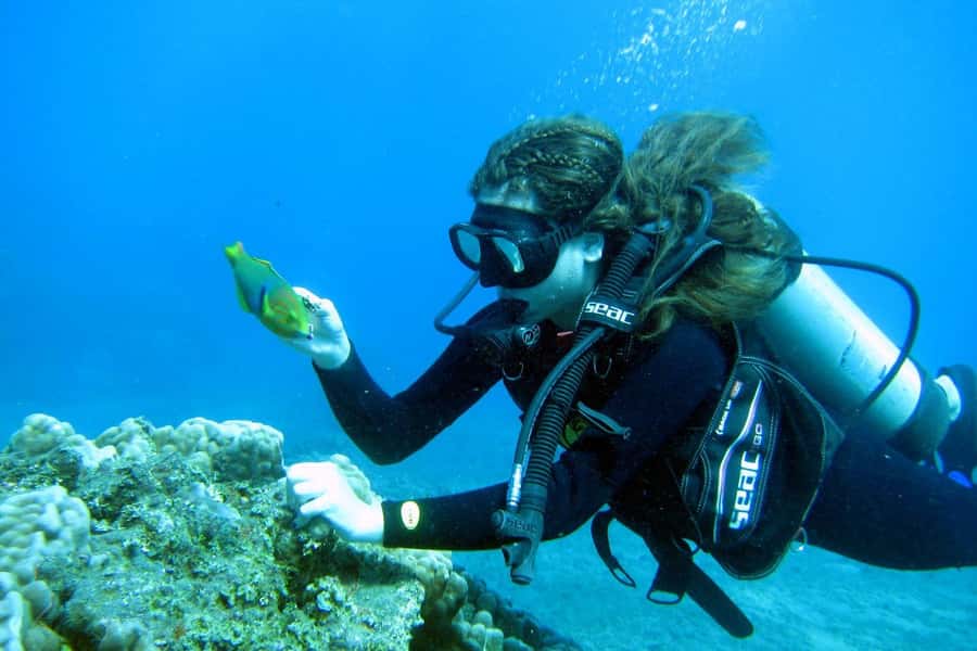 Easter Island: Tropical Diving - Why Rapa Nui’s underwater world is worth your time