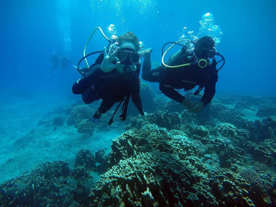 Easter Island: Tropical Diving - One hour among fish, coral, and turtles