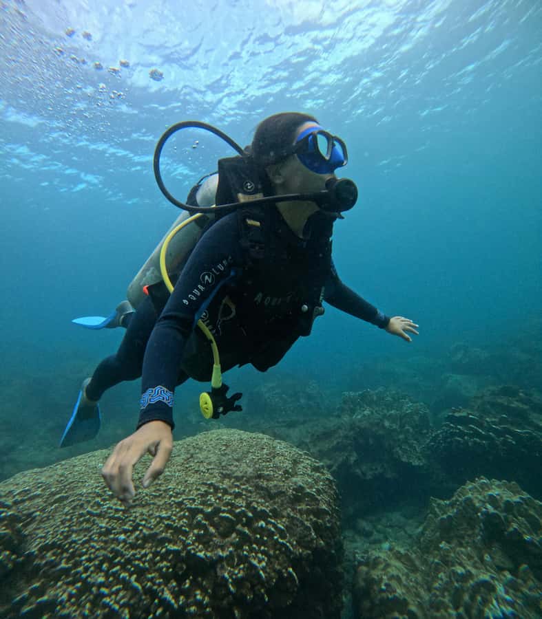 Easter Island: Tropical Diving - A few practical ways to improve the day