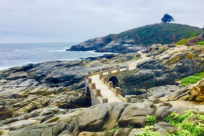 Fr STGO: WILD PENGUINS, SEALION, SANDBOARD, PARAGLIDING & PICNIC - Why this coastal day is worth the long hours